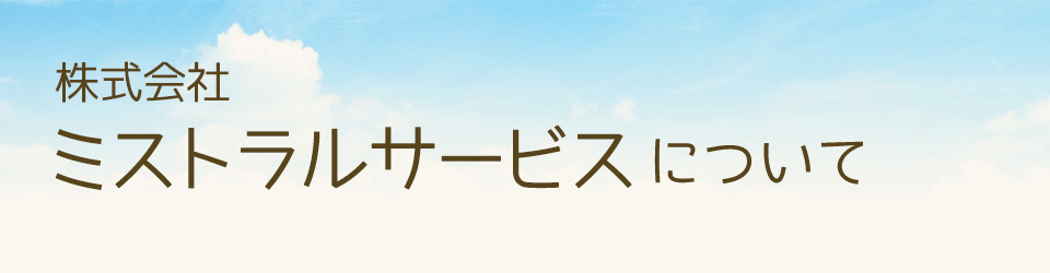 株式会社ミストラルサービスについて